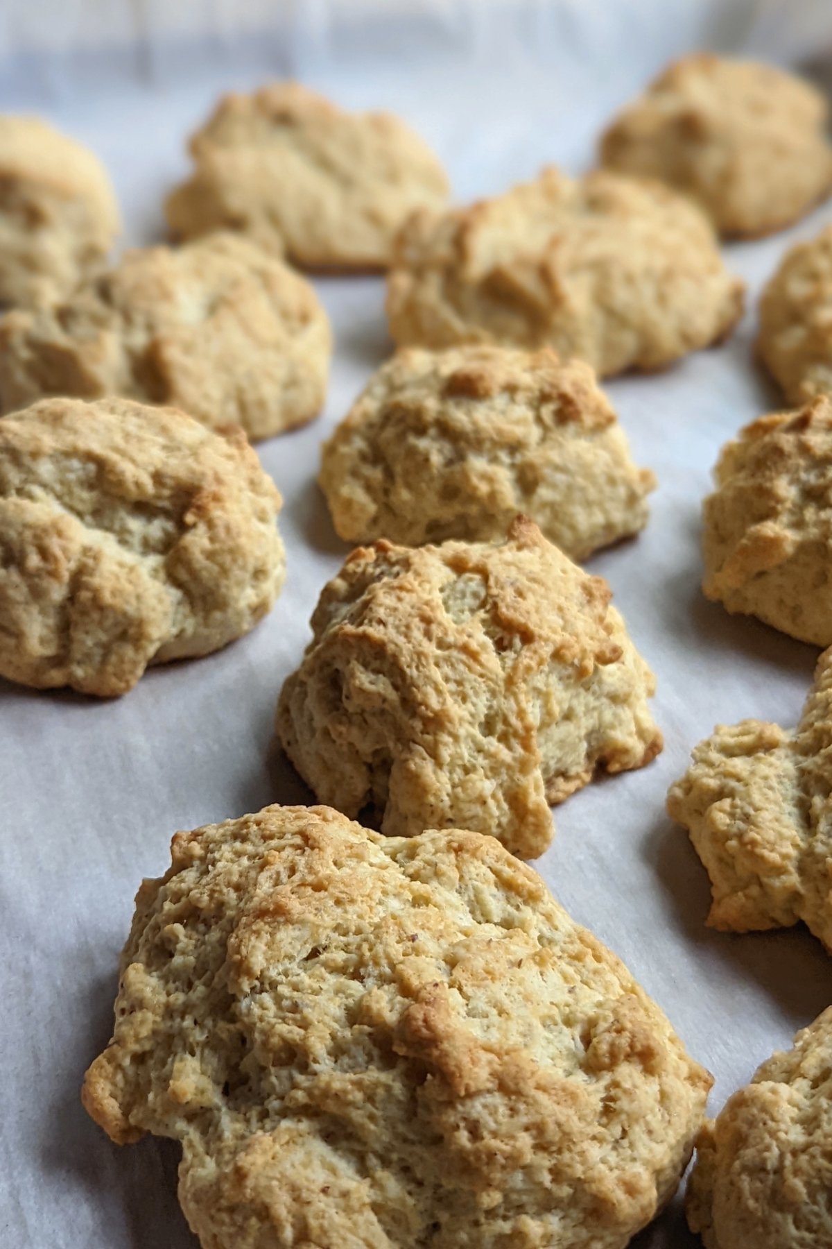 low salt biscuits recipe no sodium baking powder biscuits heart healthy bread recipe