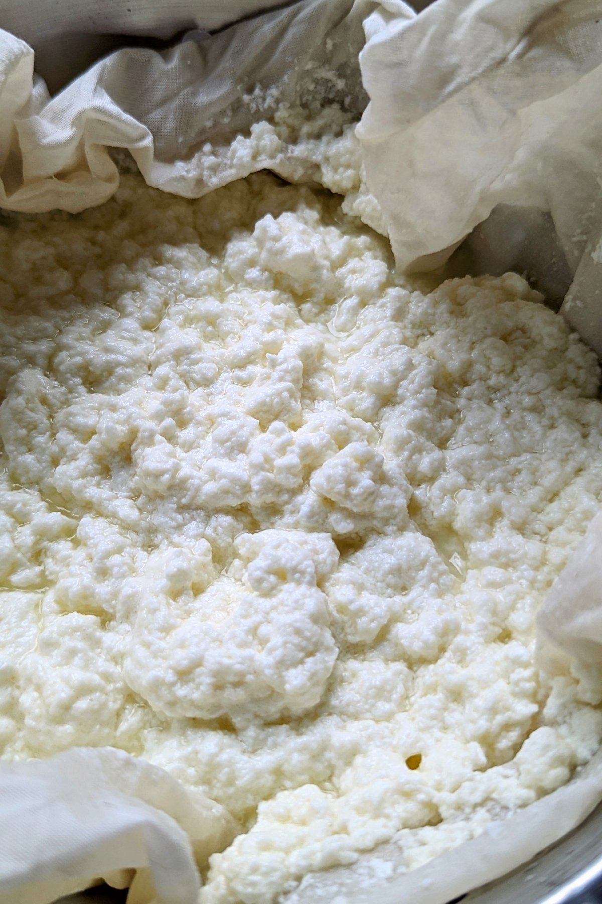 low sodium cheese without salt healthy homemade cheese recipe no salt added cheese